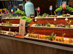 -春天烤肉自助餐厅(南内环店)