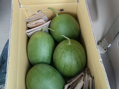 -喜杨洋草莓采摘园