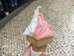 -柠檬车露(卖草地店)