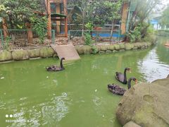 -海合安武汉极地海洋公园
