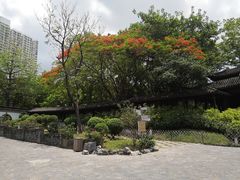 -九龙寨城公园