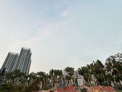-中澳友谊花园