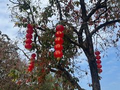 -荔湾湖公园