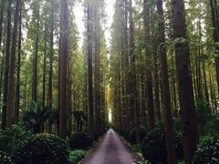 iphone_upload_pic-上海怡沁园度假酒店