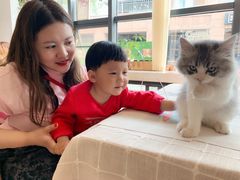 -吉丁鸟咖·异宠·寄养