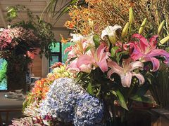 -春暖花开(西溪店)
