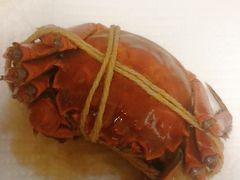 -黄记大闸蟹专卖店·活蟹·醉蟹