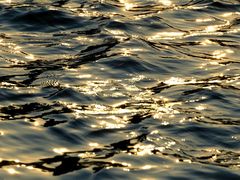 -麓湖高尔夫球俱乐部