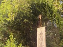 -洛阳白马寺