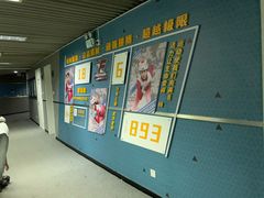 -松江大学城体育馆滑冰馆