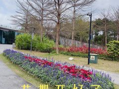 -福田红树林生态公园