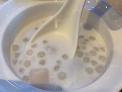 -美食小镇·观赏珍稀鸟类·长隆熊猫酒店
