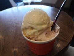 冰淇淋-Patagonia Chocolates(皇后镇店)