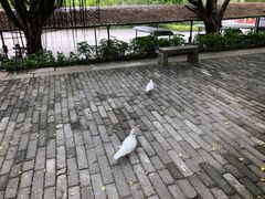 -南沙天后宫景区