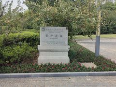 -上海崧泽遗址博物馆