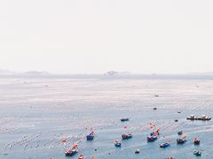 -枸杞岛