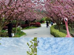 景点-南京银杏湖乐园