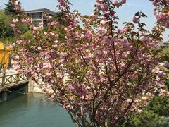 -白马涧龙池景区