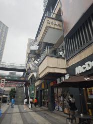 -樊栀普拉提·瑜伽·教培