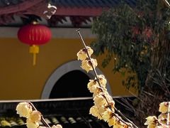 -杭州上天竺法喜讲寺