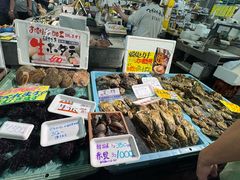 -海鮮寿司とれとれ市場