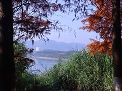 -金海湾滨江公园