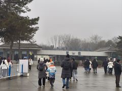 -秦始皇帝陵博物院-丽山园
