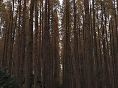-上海怡沁园度假酒店