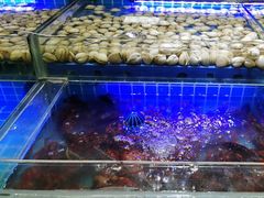 -四囍码头海鲜烧烤自助火锅(外滩南京东路悦荟广场店)