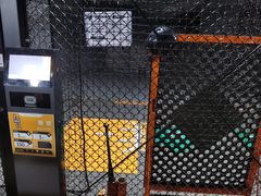 -运动派(北京店)