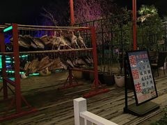 -大队长大灶鹅