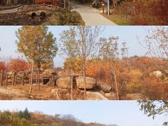 -白水寺森林公园