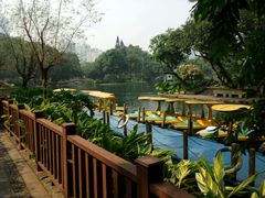 -晓港公园