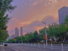 -海合安青岛极地海洋公园