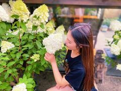 -三圣花乡旅游区