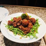绿茶双黄节,不来会后悔!