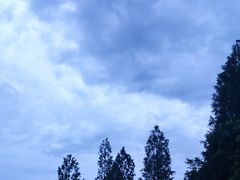 -同里国家湿地公园