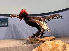 -国家自然博物馆