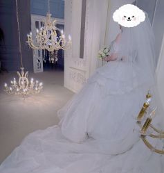 -金夫人婚纱摄影(总店)