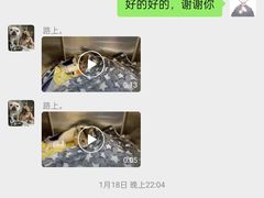 -泰洋动物医院·神经专科·磁共振·CT(天河公园总院)