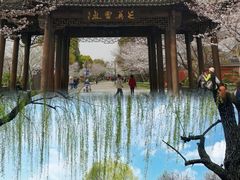 -广富林郊野公园