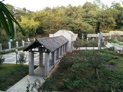 -清湖文化公园