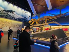 -贝林大翅鲸简餐厅(国家海洋博物馆店)