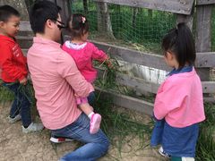 -田园东方蜜桃村的田野营地