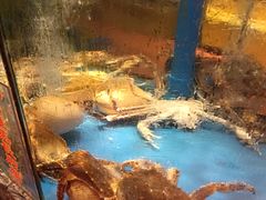 -惠食佳(滨江大公馆店)