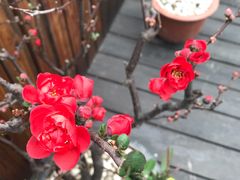 -瓷语堂(上海五维空间创意园店)