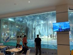 -帝企鹅自助餐厅•儿童岛•真企鹅(长隆企鹅酒店)