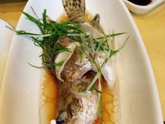 -十八棵（老龙井）御茶园(老龙井店)