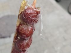 -和禄德冰糖葫芦