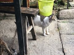 -小河无名面馆